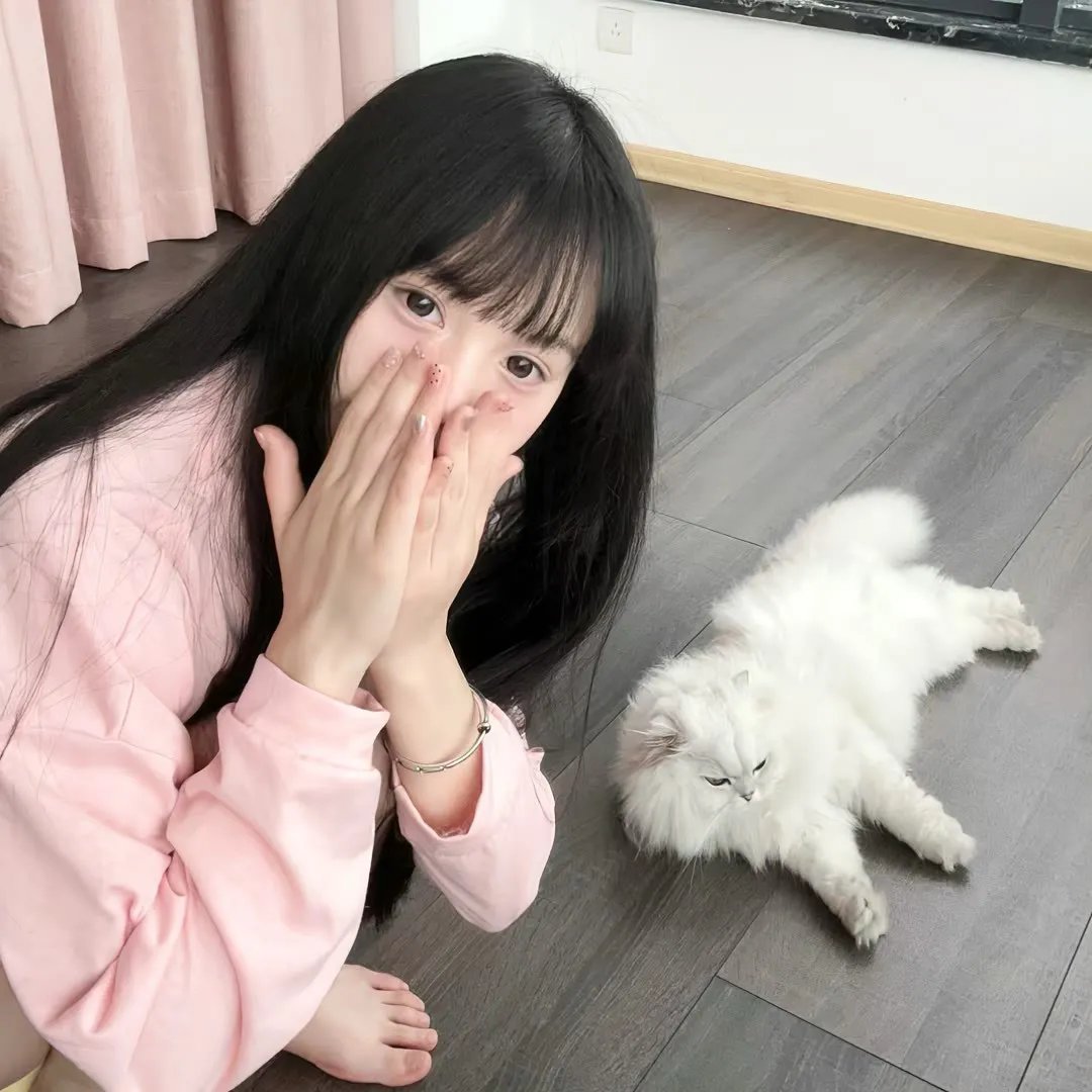 侠圣