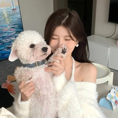 我的新拍档